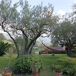 Sulla Valle Villa Castellammare del Golfo
